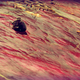 Illustration for article titled No Mans Sky In Screenshots, Part 3